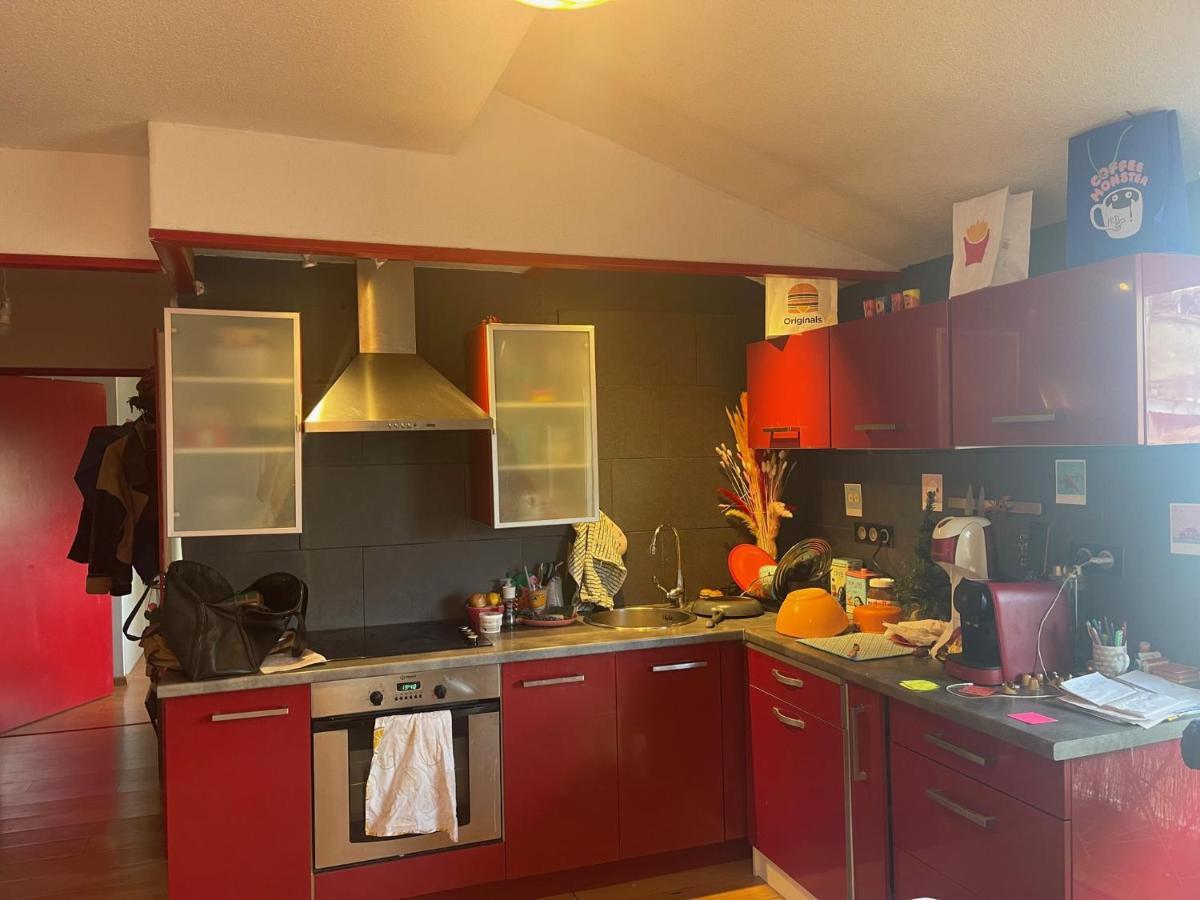 Appartement Au Centre Ville De ตูลูส ภายนอก รูปภาพ