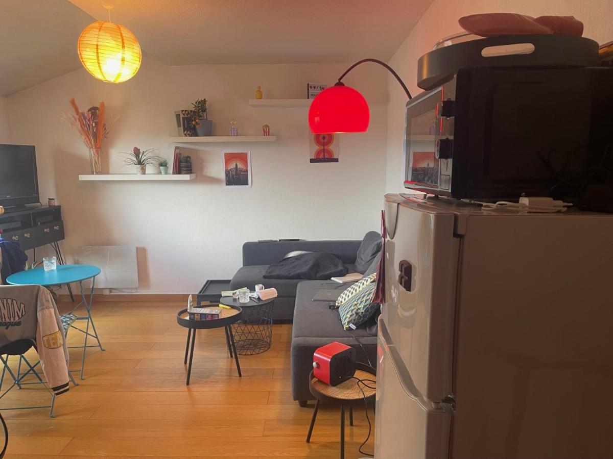 Appartement Au Centre Ville De ตูลูส ภายนอก รูปภาพ